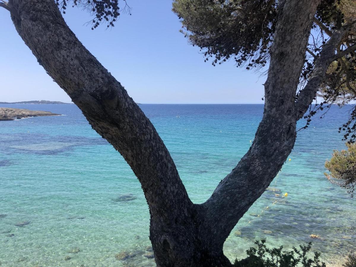 Les Baux 2 Sanary Sur Mer Екстер'єр фото